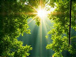 Conservation organization logo with an environmental theme