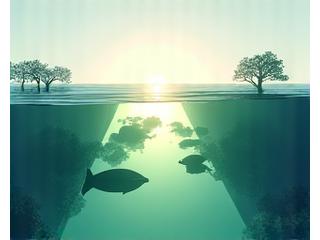 Illustration of a scientific research vessel and marine biology lab equipment, symbolizing collaboration with oceanographic institutions.