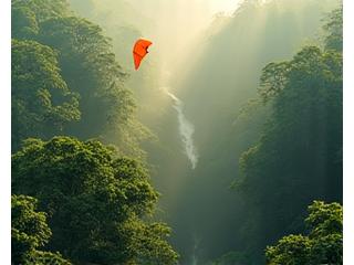 Kite fishing in a dense rainforest, the kite flying above tree canopy.
